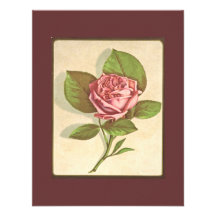Vintage Rose Individuelle Ankündigungen