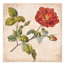 Vintage Rosen-botanisches Geburtstags-Garten-Party Personalisierte Einladungen