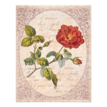 Vintage Rosen-botanisches Geburtstags-Garten-Party Einladungskarte
