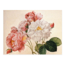 Vintage Rosen-Postkarte