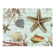 Vintage Seashells… Postkarte