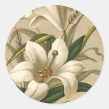 Vintage viktorianische Osterlilien-Blumen in der B Sticker