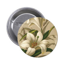 Vintage viktorianische Osterlilien-Blumen in der B Buttons