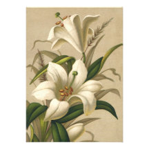 Vintage viktorianische Osterlilien-Blumen in der B Individuelle Ankündigskarten