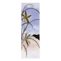 Vintage viktorianische Tiere, Kolibri-Vogel-Orchid Visitenkartenvorlage
