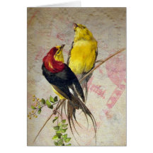 Vintage Vogel-Spitze-Beschaffenheit Grußkarten
