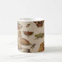 Vintager Biologie-Illustrations-Becher Tasse