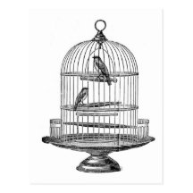 Vintager Birdcage mit Vogel… Postkarte