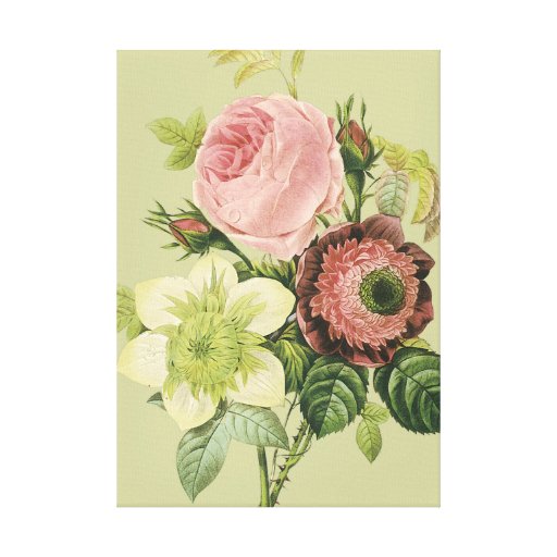 Vintager botanischer Druck der feinen Kunst Gespannter Galeriedruck