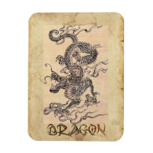 Vintager Drache-japanischer Kunst-Geschichtsmagnet