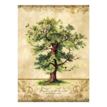 Vintager Eichen-Baum des Leben-Strudel-Radierungs- Personalisierte Ankündigungskarte