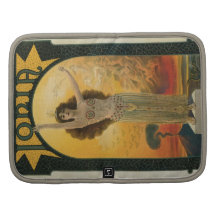 Vintager Enchantress-Rickshaw-Folio-Planer