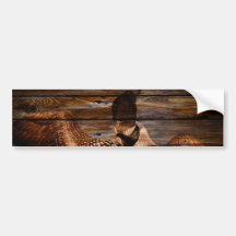 Vintager Loon auf rustikalem Scheunen-Holz Auto Sticker