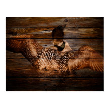 Vintager Loon auf rustikalem Scheunen-Holz Postkarte