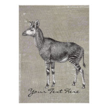 Vintager Okapi Ankündigung