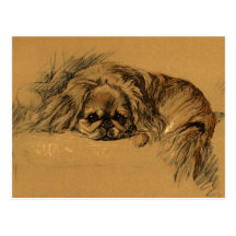 Vintager Pekingeses Welpe Postkarte