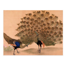 Vintager Pfau Postkarten