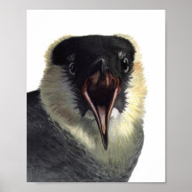 Vintager Pomarine Jaeger Plakat-Druck