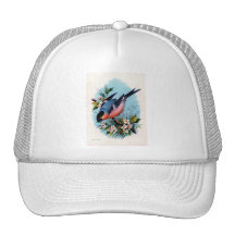 Vintager Retro Vogel auf einem Niederlassungs-Hut Truckercap