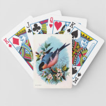 Vintager Retro Vogel auf einer Niederlassung