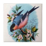 Vintager Retro Vogel auf einer Niederlassungs-Flie