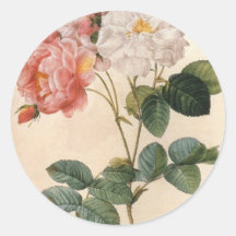 Vintager rosa Rosen-Aufkleber