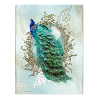 Vintager schäbiger Vogel des schönen Türkises des Postkarten