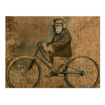 Vintager Schimpanse, der Fahrrad fährt Postkarte