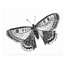 Vintager Schmetterling Postkarten