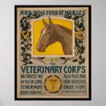 VINTAGER Tierarzt WW1. Korps PLAKAT