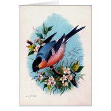 Vintager Vogel auf einer Niederlassungs-Karte