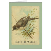 Vintager Vogel, Geburtstag Grußkarten