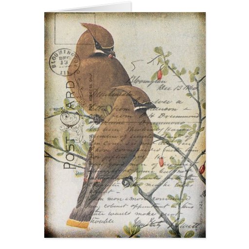 Vintager Vogel Karte