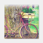 Vintages Fahrrad mit Blumen-Korb Kühlschrankmagnet