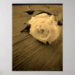 Vintages weißes Rosesepia-Plakat