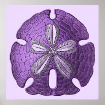 Violetter Sand-Dollar-Plakat-Druck