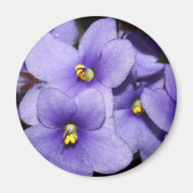 Violettes Boquet Magnete