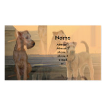 Visitenkarte "Irish Terrier"