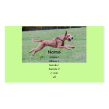 Visitenkarte "Irish Terrier"