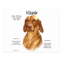 Vizsla Geschichtsentwurf Postkarte
