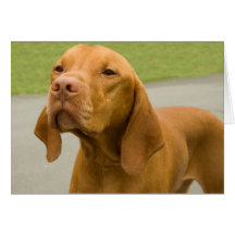 Vizsla Grußkarte