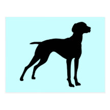 Vizsla HundeSilhouette (Schwarzes) Postkarten