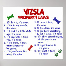 VIZSLA PL2 PLAKATDRUCK