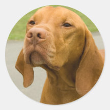 Vizsla Runder Aufkleber