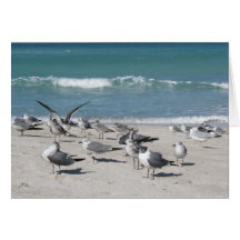 Vögel auf Ozeanstrand Karten