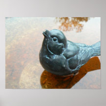Vogel-Bad Plakat