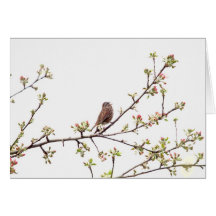 Vogel, der mit Frühlings-Blumen singt Grußkarte