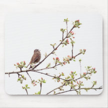 Vogel, der mit Frühlings-Blumen singt Mousepad