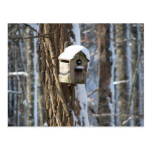 Vogel-Haus Postkarten