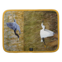 Vogel-im Flug Folio Planer